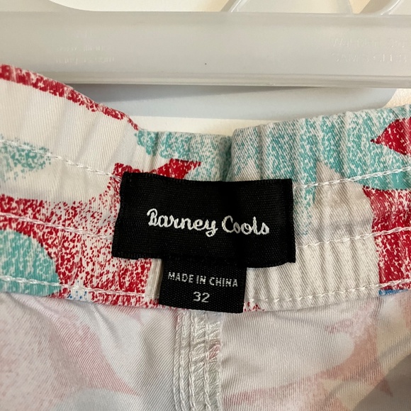Barney Cools Amphibious Swim Shorts - Picture 3 of 3